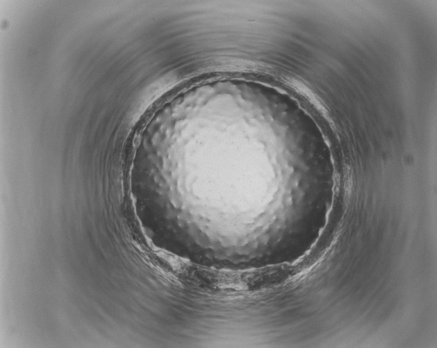 X0000059100829200510172118