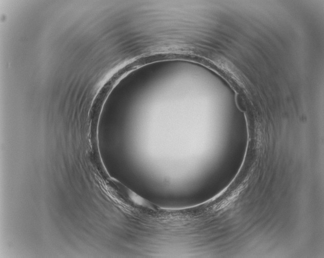 X0000059100830200510172118