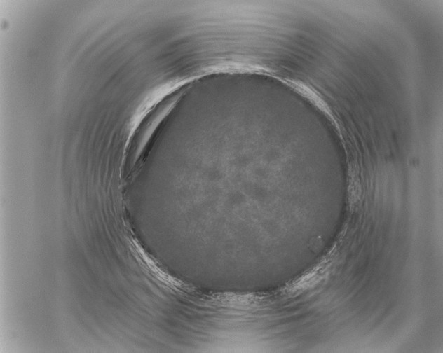 X0000059100831200510172118