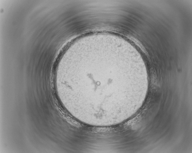 X0000059100832200510172118