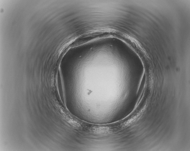 X0000059100833200510172118