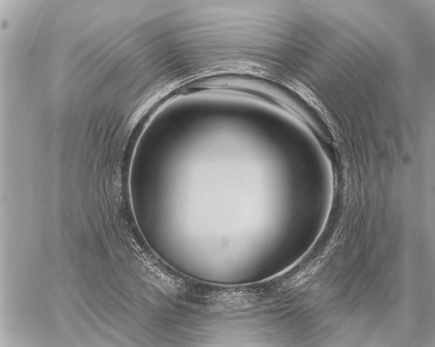 X0000059100834200510172118