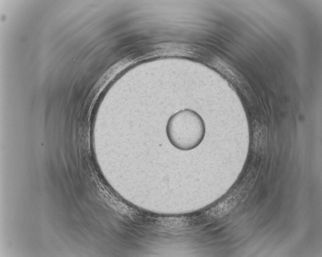 X0000059100836200510172118