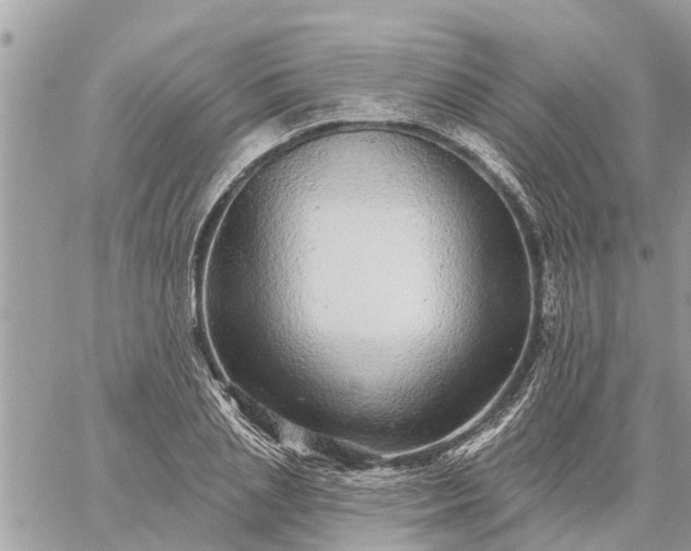 X0000059100837200510172118