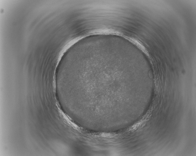 X0000059100839200510172118