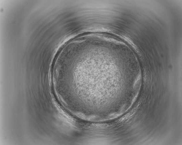 X0000059100840200510172118