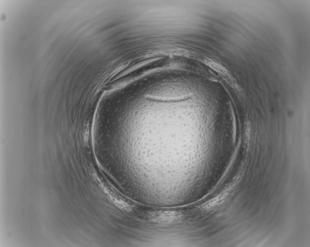 X0000059100841200510172118