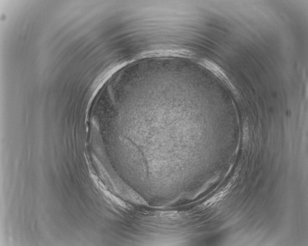 X0000059100844200510172118