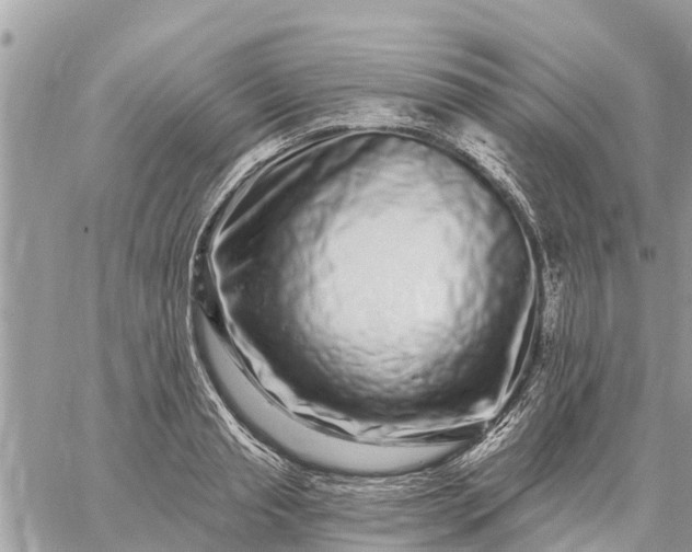 X0000059100845200510172118