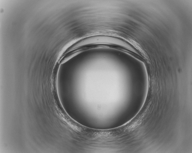 X0000059100846200510172118