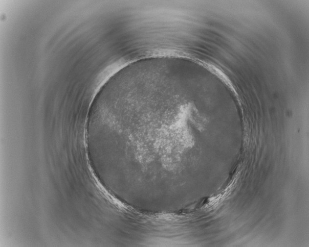 X0000059100847200510172118