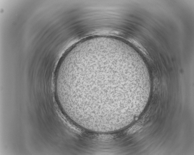 X0000059100848200510172118