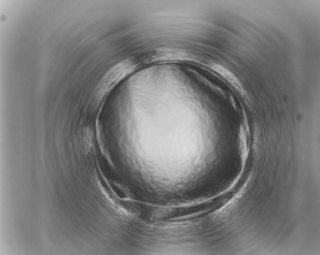 X0000059100849200510172118