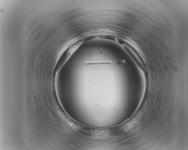 X0000059100850200510172118