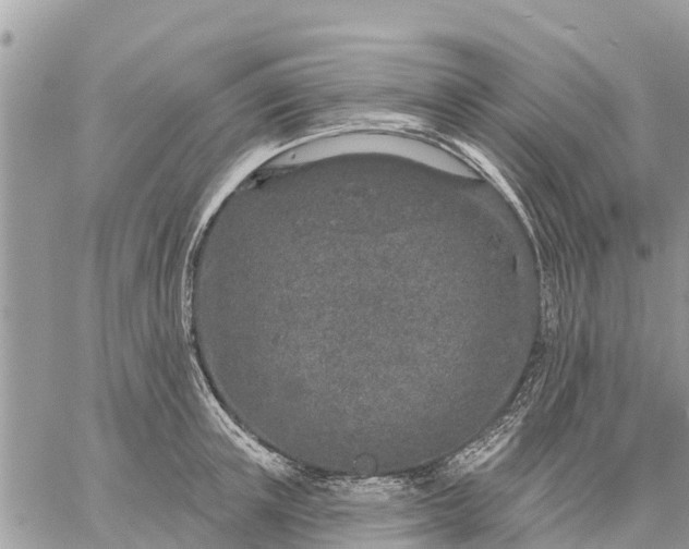 X0000059100851200510172118