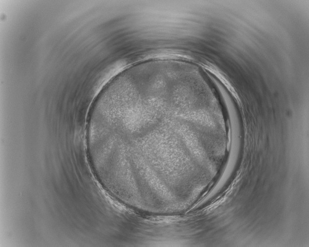 X0000059100853200510172118