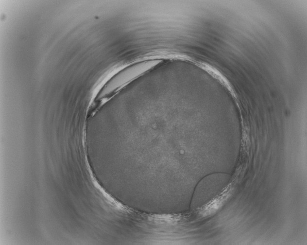 X0000059100855200510172118