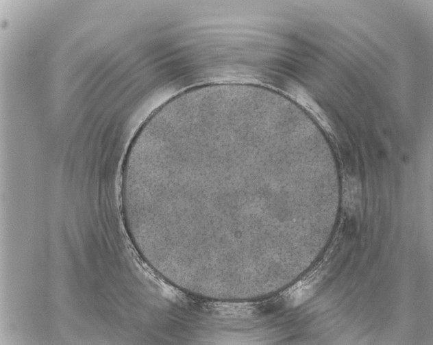 X0000059100856200510172118