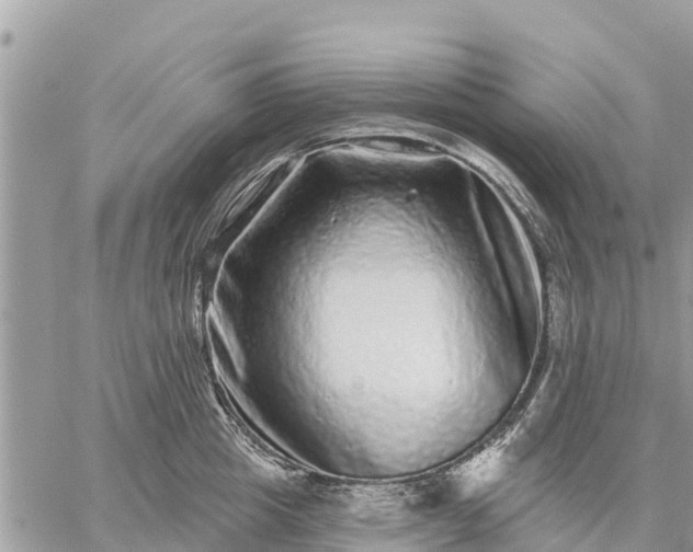 X0000059100857200510172118