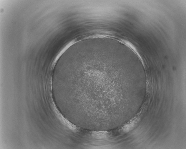 X0000059100859200510172118