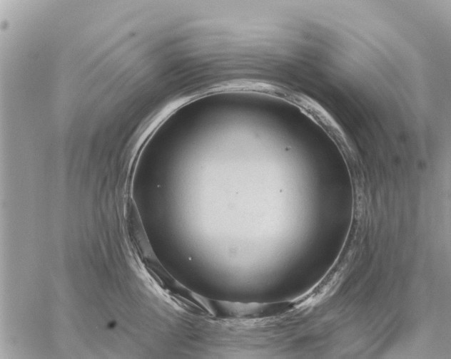 X0000059100860200510172118