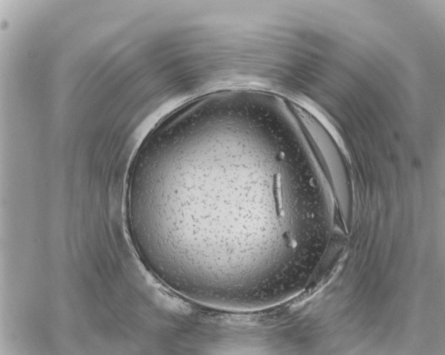 X0000059100861200510172118