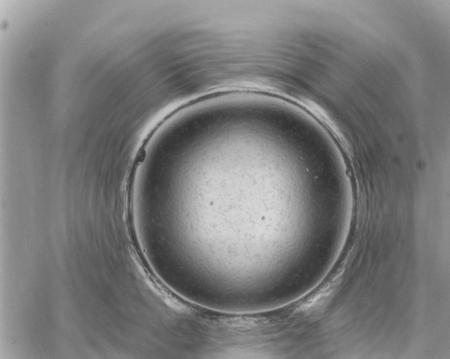 X0000059100862200510172118