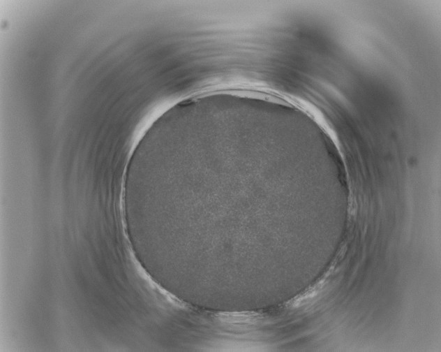 X0000059100863200510172118