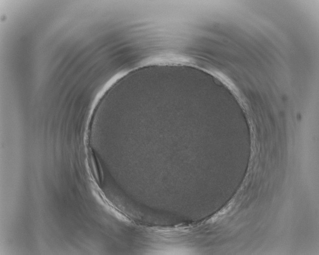 X0000059100864200510172118