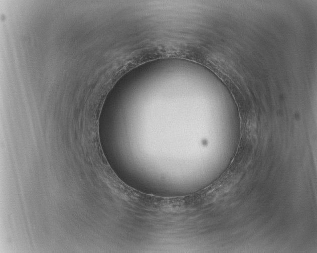 X0000059100865200510172117