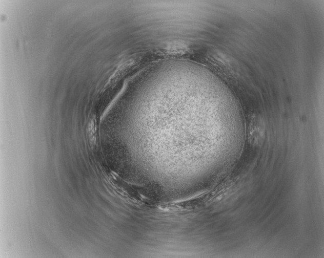 X0000059100866200510172117