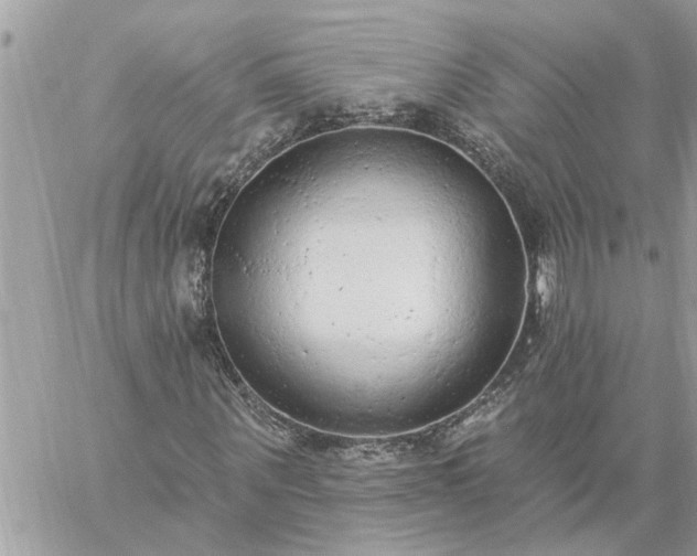 X0000059100867200510172117