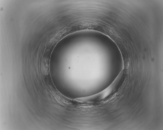 X0000059100868200510172117