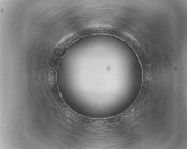 X0000059100869200510172117