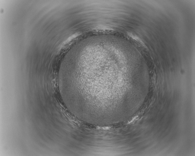 X0000059100870200510172117