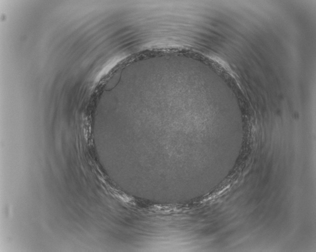 X0000059100871200510172117