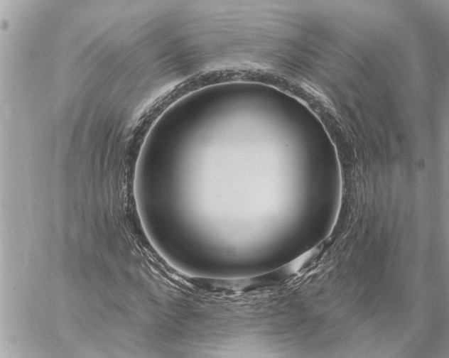 X0000059100872200510172117