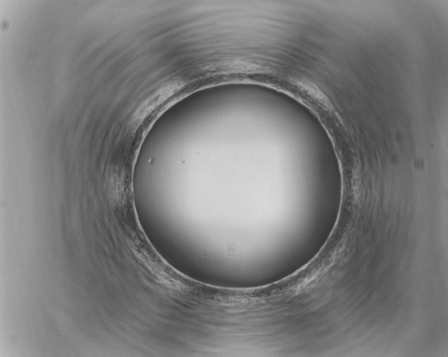 X0000059100873200510172117