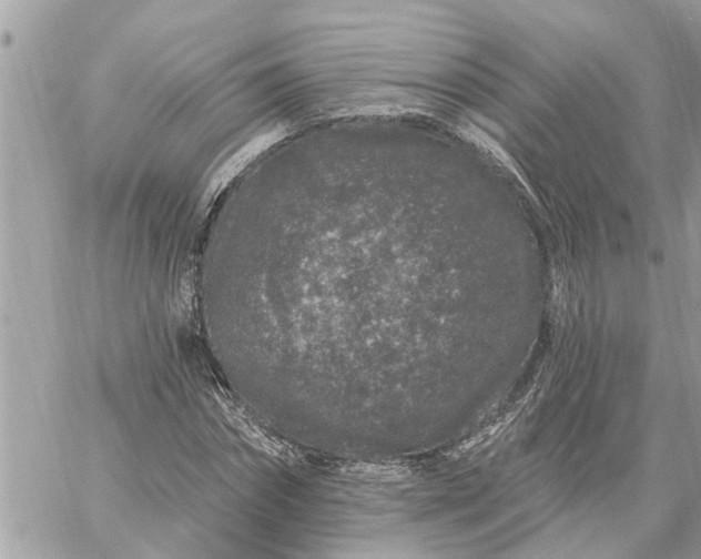 X0000059100874200510172117