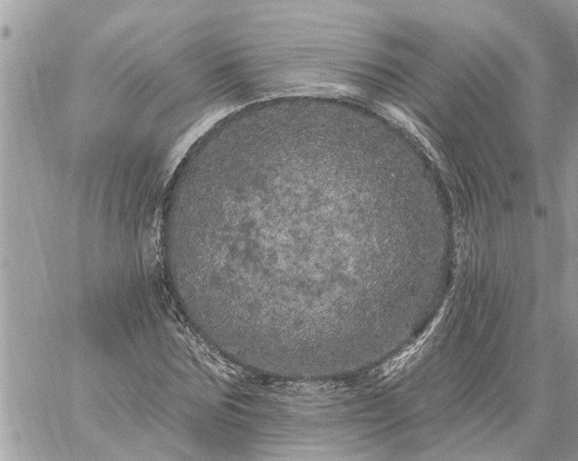 X0000059100875200510172117