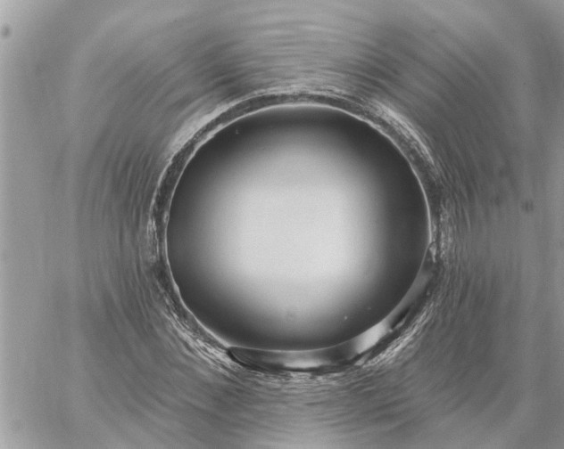 X0000059100876200510172117