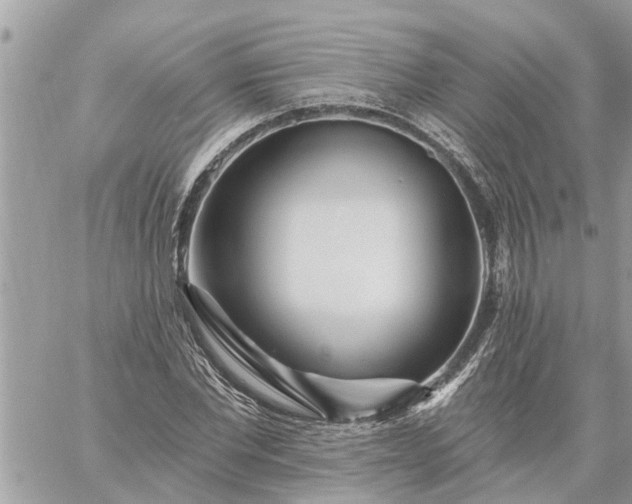 X0000059100877200510172117