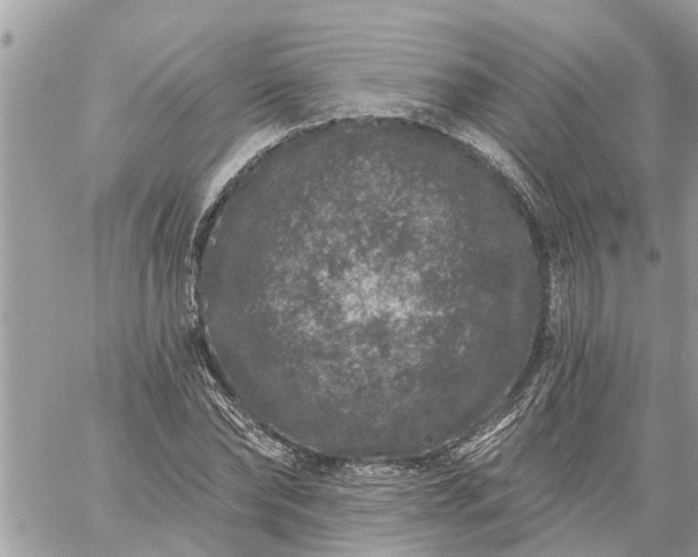 X0000059100878200510172117