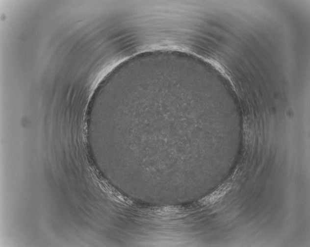 X0000059100879200510172117