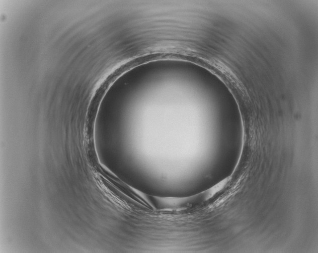 X0000059100880200510172117