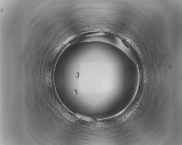 X0000059100881200510172117