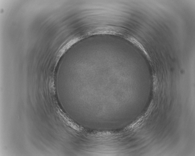 X0000059100882200510172117