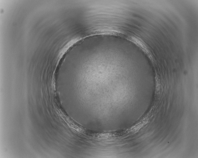 X0000059100883200510172117