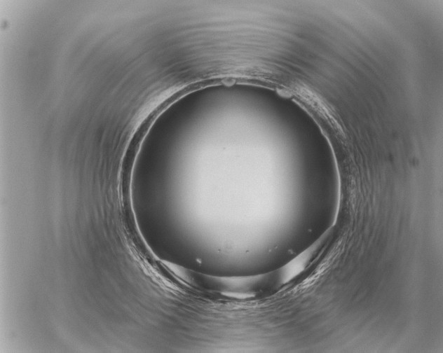 X0000059100884200510172117