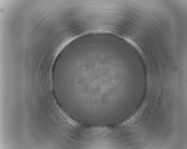 X0000059100886200510172117